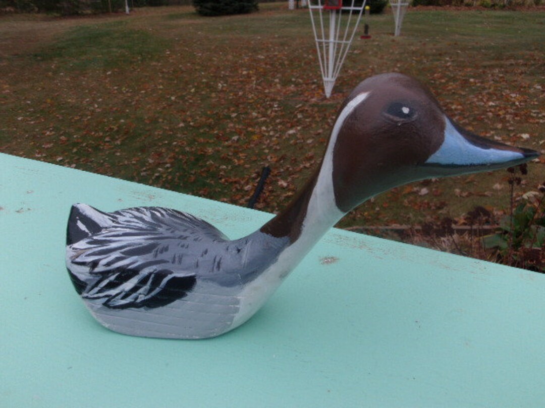 NORTHERN PINTAIL DUCK - Etsy