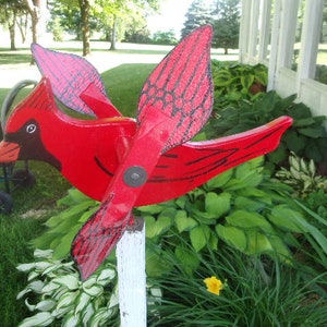 CARDINAL WHILIGIG