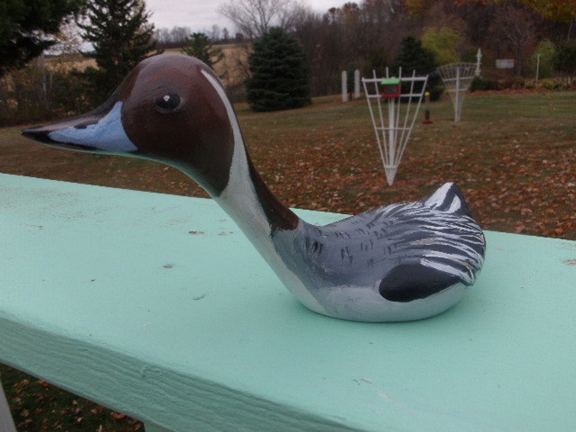 NORTHERN PINTAIL DUCK - Etsy