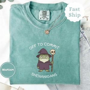 以下が含まれることがあります： 「OFF TO COMMIT SHENANIGANS」の文字と、魔法使いの帽子をかぶり、頭蓋骨の杖を持ったカエルの漫画のキャラクターが描かれた、シーフォームグリーンのTシャツ。クルーネックと半袖です。