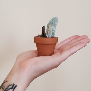 Puede incluir: Una pequeña maceta de terracota con un cristal verde y una rama marrón en su interior. La maceta está siendo sostenida en la mano de una persona.