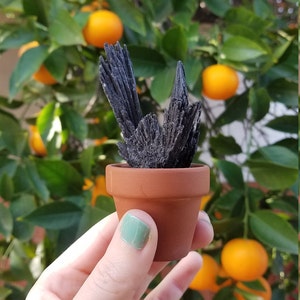 May include: A small black crystal cluster in a terracotta pot. The crystal is a cluster of sharp, black points. The pot is sitting on a hand.