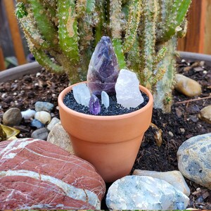 Schlaf gut Kristall Kaktus mit Rosenquarz, Amethyst, und Mondstein / Kristalltopf / Forever Plant
