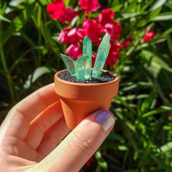 4 Point Green Aura Quartz Crystal Cactus In A Terracotta Etsy Singapore