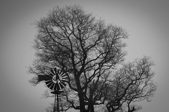 Trees