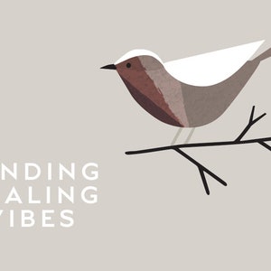 Peut inclure: Illustration stylis&eacute;e d'un oiseau brun et blanc perch&eacute; sur une branche. Le texte "SENDING HEALING VIBES" est sous l'oiseau.