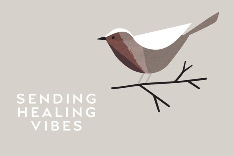 Peut inclure: Illustration stylis&eacute;e d'un oiseau brun et blanc perch&eacute; sur une branche. Le texte "SENDING HEALING VIBES" est sous l'oiseau.