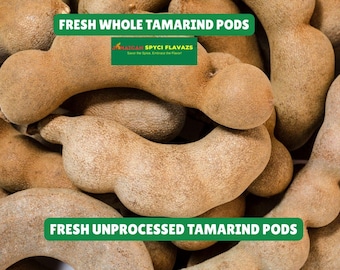 Vainas de tamarindo frescas enteras / Tamarindo natural crudo sin procesar / Tamarindo