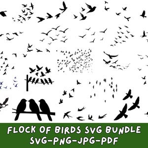 Pode incluir: Uma coleção de silhuetas pretas de pássaros em vários padrões de voo contra um fundo branco. A imagem inclui bandos de pássaros, pássaros individuais e pássaros empoleirados em um fio. O texto na parte inferior diz "FLOCK OF BIRDS SVG BUNDLE SVG-PNG-JPG-PDF."