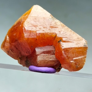 Pointe de cristal scheelite rare : spécimen minéral orangé, Pakistan (33 g, 3 x 2 cm)
