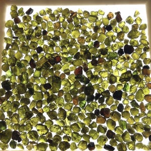 May include: A collection of raw, uncut peridot gemstones in various shades of green, olive, and brown. The gemstones are illuminated from below, showcasing their natural textures and shapes. The stones are displayed in a white tray.