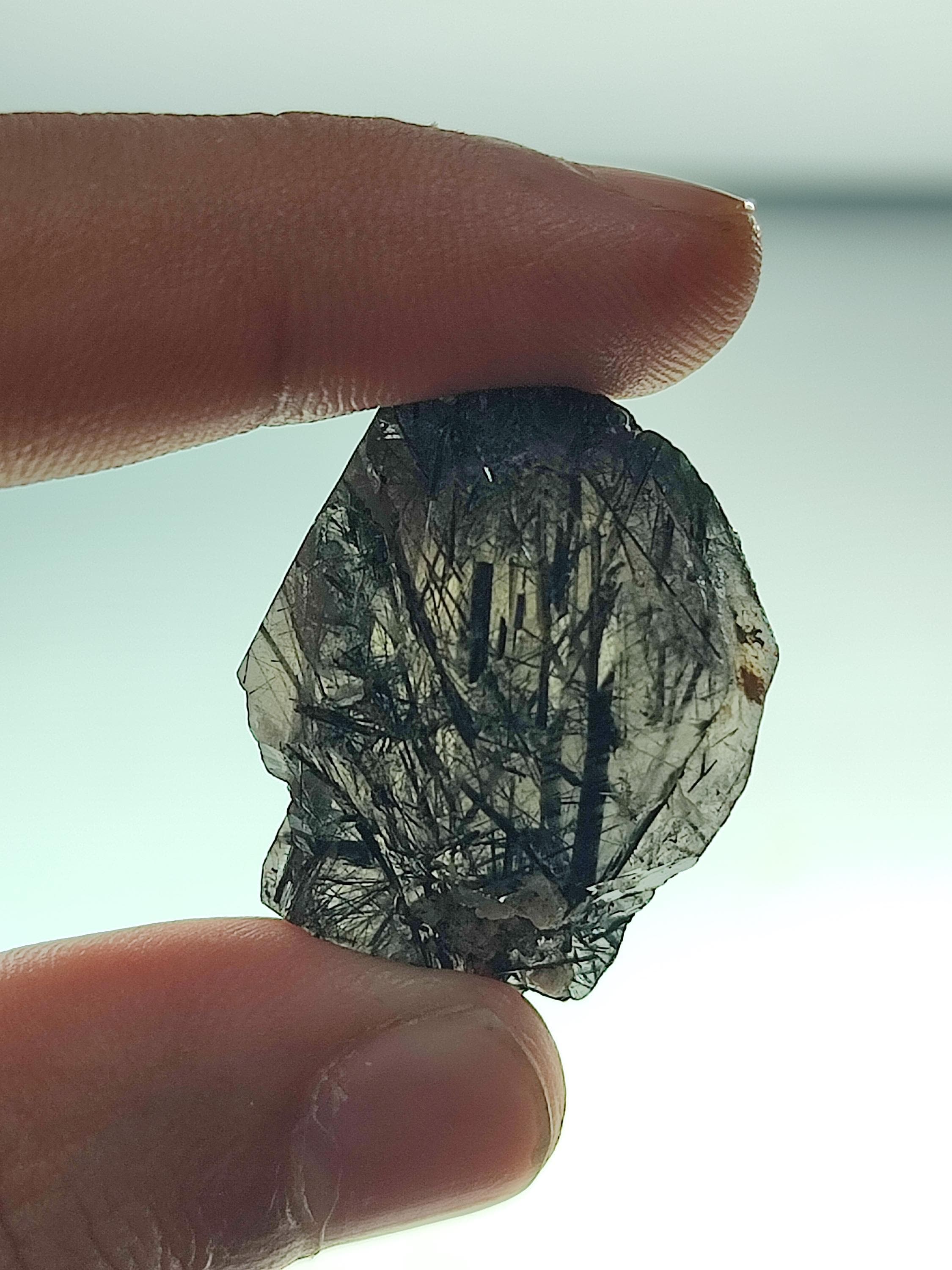 Magnesio Riebeckite Aegirine Quartz Crystal: Zagi Mountains
