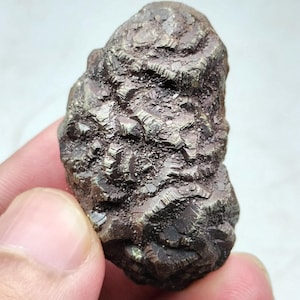 Natural pyrite var marcasite nodule crystal from KP Pakistan