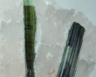 Green Tourmaline Crystal on Quartz Matrix, Skardu Pakistan (39 gm)
