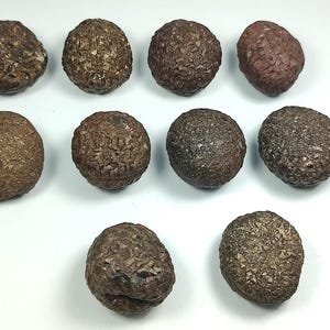 Natural pyrite var marcasite nodule crystals lot  from Pakistan. &quot;450 gm&quot;