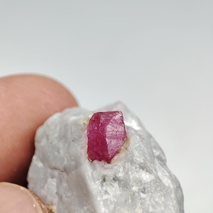 Pode incluir: Um vibrante cristal de rubi vermelho profundo está embutido em uma matriz de rocha cinza claro. O rubi é um cristal bem formado de seis lados, e a rocha tem uma superfície áspera e texturizada. A imagem é um close-up, destacando os detalhes da gema.