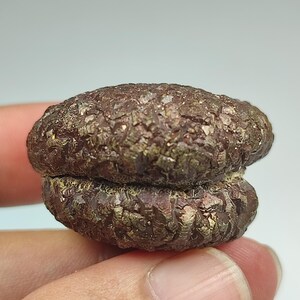 Natural pyrite var marcasite nodule twin crystals with unique formation from Pakistan. &quot;80 gm&quot;