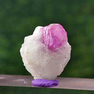 May include: A close-up of a raw, uncut gemstone. The crystal features a vibrant pink top section atop a white base. The gemstone is mounted on a small, purple base, with a blurred green background.