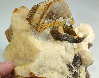 Combination of Mica, Quartz and Albite cabinet size specimen from pak. "540 gm"
