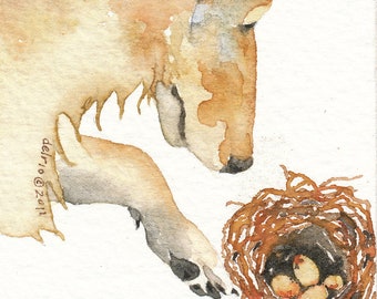 COYOTE greeting card watercolor SPIRIT totem animal 'EGGS' blank