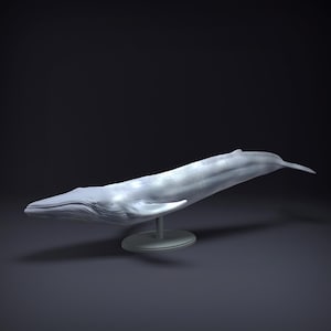 Blue Whale – 3D Printed Model - Unpainted - Animals Miniatures - Resin