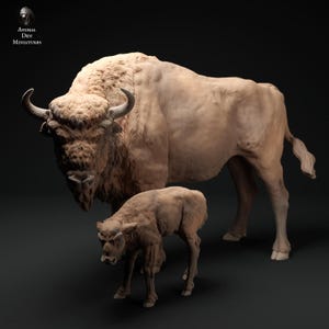 European Bison Cow and Calf – 3D Printed Model - Unpainted - Animals Miniatures - Resin