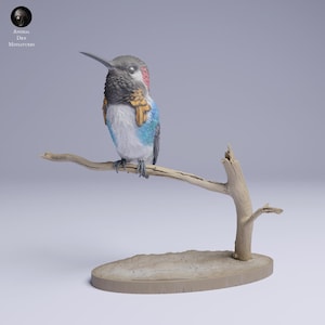 Può includere: Scultura dettagliata di un colibrì posato su un piccolo ramo. L'uccello presenta testa grigia, gola rossa, ali blu e petto bianco. La scultura è montata su una base marrone chiaro, con "Animal Des Miniatures".