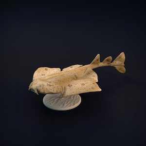 May include: A tan-colored, spotted fish sculpture with a flat body and a long tail. The sculpture is mounted on a round, off-white base. The fish has a unique shape, resembling a cross between a ray and a shark.