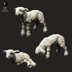 May include: Three white lamb figurines with textured wool-like coats are displayed against a dark background. The lambs are in various poses, one standing, one lying down, and one with its head lowered. The text "ANIMAL DEN MINIATURES" is visible.