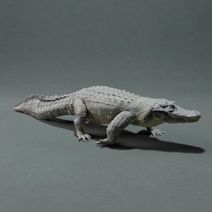 May include: A grey alligator figurine with a textured skin and a long tail. The reptile is shown in a walking pose, displaying its legs and claws. The figurine has a realistic appearance and is set against a neutral background.