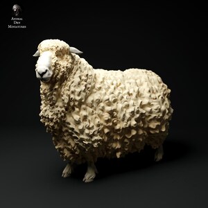 Può includere: Una scultura dettagliata di una pecora con un manto di lana strutturato color crema. La pecora ha una faccia bianca e piccole orecchie grigie. La scultura è ambientata su uno sfondo scuro, con il testo "Animal Den Miniatures" in alto a sinistra.