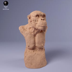 Può includere: Un busto di scimmia di colore marrone chiaro. La scultura presenta dettagliati tratti del viso, tra cui occhi, naso e bocca. Il busto comprende la parte superiore del busto e il petto. Il testo "Animal Den Miniatures" è nell'angolo in alto a sinistra.