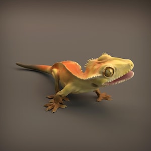 Puede incluir: Imagen renderizada en 3D de un gecko. El reptil tiene la cabeza y el cuerpo amarillos, con marcas naranjas. Su boca está abierta, revelando el interior rosado. El gecko se encuentra sobre un fondo marrón neutro.