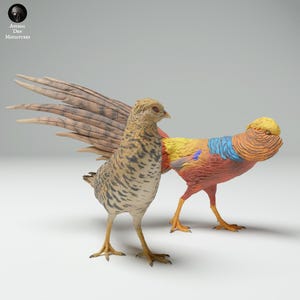 May include: Two detailed bird figurines. One is a tan and brown bird with its wings spread. The other is a colorful bird with red, yellow, and blue plumage. The figurines are set against a plain white background. The text "Animal Den Miniatures" is in the upper left corner.