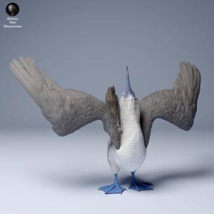 May include: A detailed figurine of a blue-footed booby bird with outstretched wings. The bird has a white chest, gray wings, and distinctive blue feet. The figurine is from Animal Den Miniatures.
