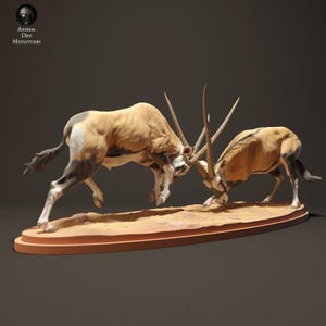 Puede incluir: Una escultura en miniatura detallada de dos órices en posición de lucha. Los órices son de color beige y blanco con cuernos largos, sobre una base arenosa y una base ovalada marrón. El logotipo de Animal Den Miniatures está en la esquina superior izquierda.