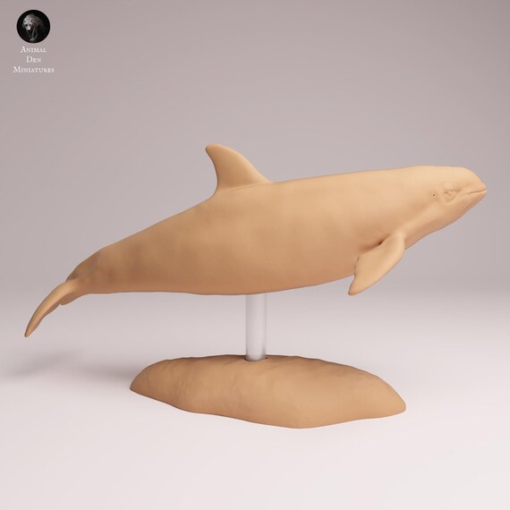 コガシラネズミイルカ - 3Dプリントモデル - 未塗装 - 動物ミニチュア