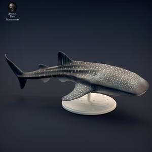 Whale Shark – 3D Printed Model - Unpainted - Animals Miniatures - Resin
