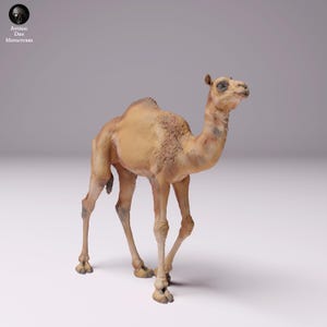 Puede incluir: Figura detallada de un camello en posición de pie. El camello tiene un cuerpo de color canela con manchas más oscuras y un cuello largo. La figura está sobre un fondo neutro. El texto "Animal des Miniatures" está en la esquina superior izquierda.