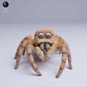 Araña Saltarina – Modelo Impreso en 3D - Sin Pintar - Miniaturas de Animales - Resina