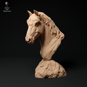Konik Horse Bust – 3D Printed Model - Unpainted - Animals Miniatures - Resin