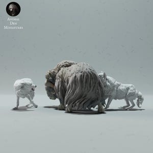 Arctic Wolves Hunting Muskox – 3D Printed Model - Unpainted - Animals Miniatures - Resin