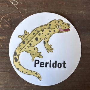 Custom Crested Gecko Sticker- Great For Labeling Enclosures!