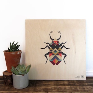 Beetle Print | Insect Print | Specimen | Botanical illustration - Plywood wood, Wall art