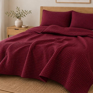 Può includere: Un set di trapunte color bordeaux intenso caratterizzato da un motivo trapuntato e testurizzato con piccoli punti bianchi uniformemente distanziati sulla superficie. Il set include un grande copriletto che copre il materasso e due federe rettangolari.