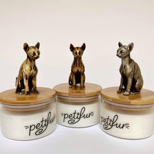 Sphinx-Kerzenglas, niedliches Sphinx-Geschenk, Erinnerungsbox, Sphinx-Figürchenkerze, Katzenvater und -mutter, Haustiergedenkkerze, getigerte Katze, Siamkatze