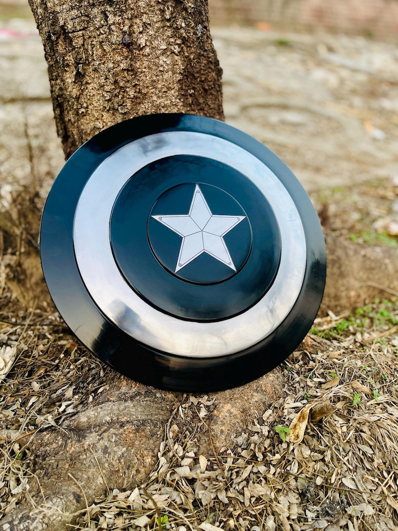 May include: A black, silver, and white shield with a five-pointed star in the center. The shield is round with concentric circles of black, silver, and black. The star is white and outlined in silver. The shield is resting on a tree trunk.
