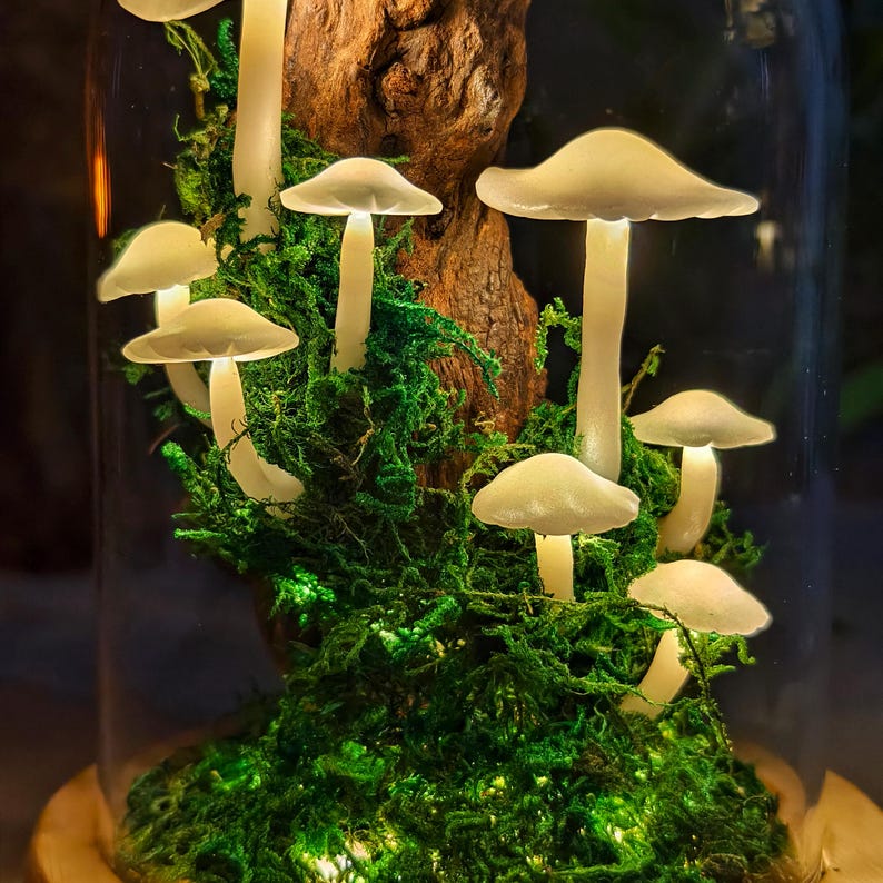 May include: A glass terrarium featuring glowing mushroom lights nestled in vibrant green moss. The mushrooms have white caps and stems, and are arranged around a piece of natural wood. The base is a wooden platform.