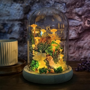 May include: A decorative glass cloche with a wooden base, showcasing a miniature illuminated mushroom and plant scene. The scene includes yellow mushrooms, green foliage, and a small animal figure, all lit by warm white lights. The background is a stone wall.