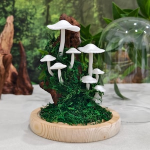 May include: A whimsical terrarium featuring white mushroom sculptures on a bed of green moss, mounted on a wooden base. The mushrooms are clustered on a piece of wood, and the scene is partially enclosed by a glass dome.